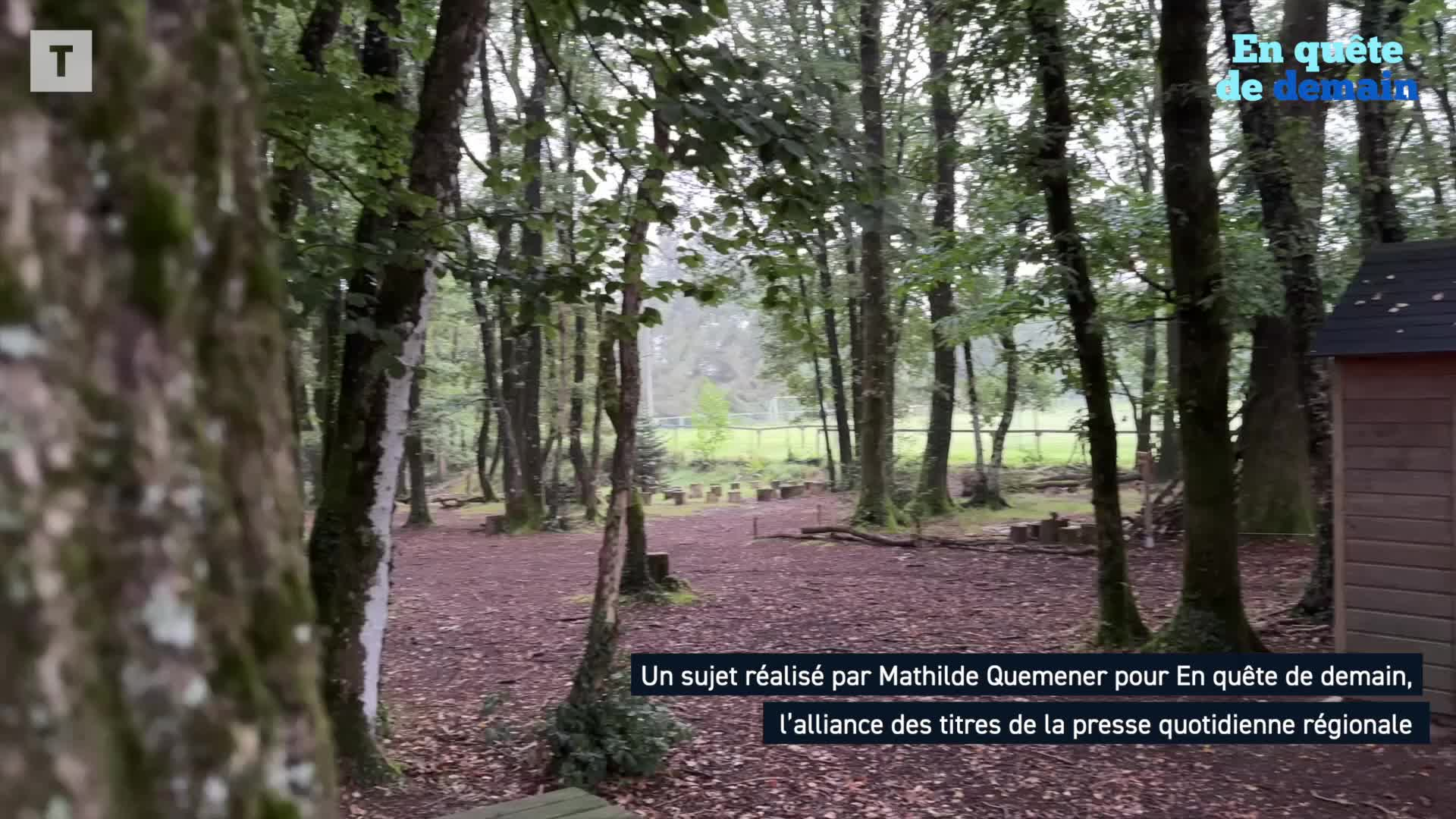 « Regardez, c'est idyllique ici » : à Treffrin, l'école publique est dans les bois [Vidéo]