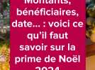 Montants, bénéficiaires, date... : voici ce qu'il faut savoir sur la prime de Noël 2024