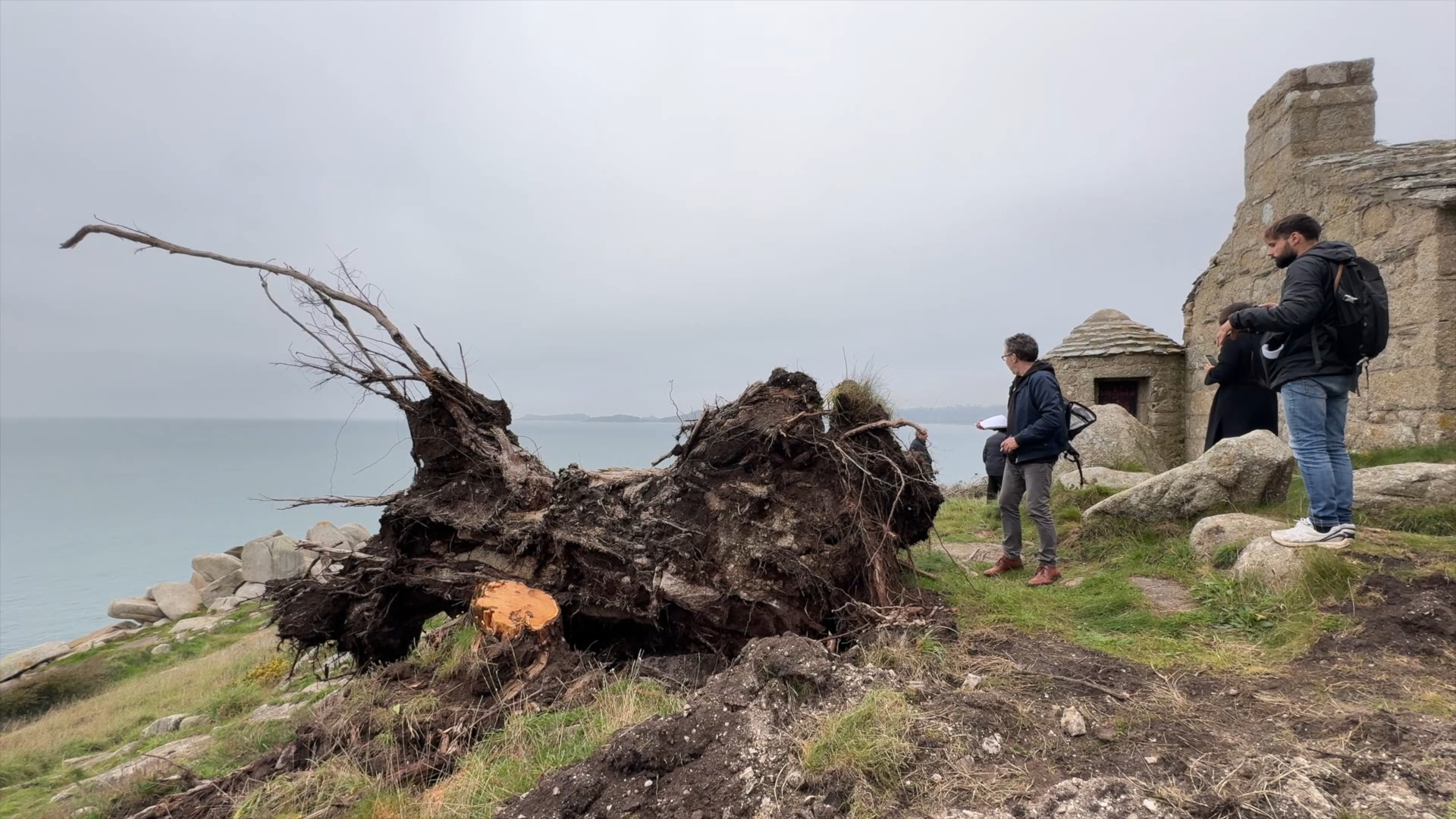 Il a été dévasté par la tempête Ciaran : où en est le parc du Dourven dans les Côtes-d'Armor? [Vidéo]