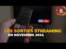 Nos recommandations streaming pour novembre 2024 - Ciné-Télé-Revue