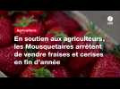 VIDEO. En soutien aux agriculteurs, les Mousquetaires arrêtent de vendre fraises et cerises en fin d'année