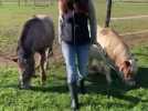 Cette Bergeracoise qui sauve les chevaux délaissés