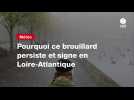 VIDÉO. Pourquoi ce brouillard persiste et signe en Loire-Atlantique