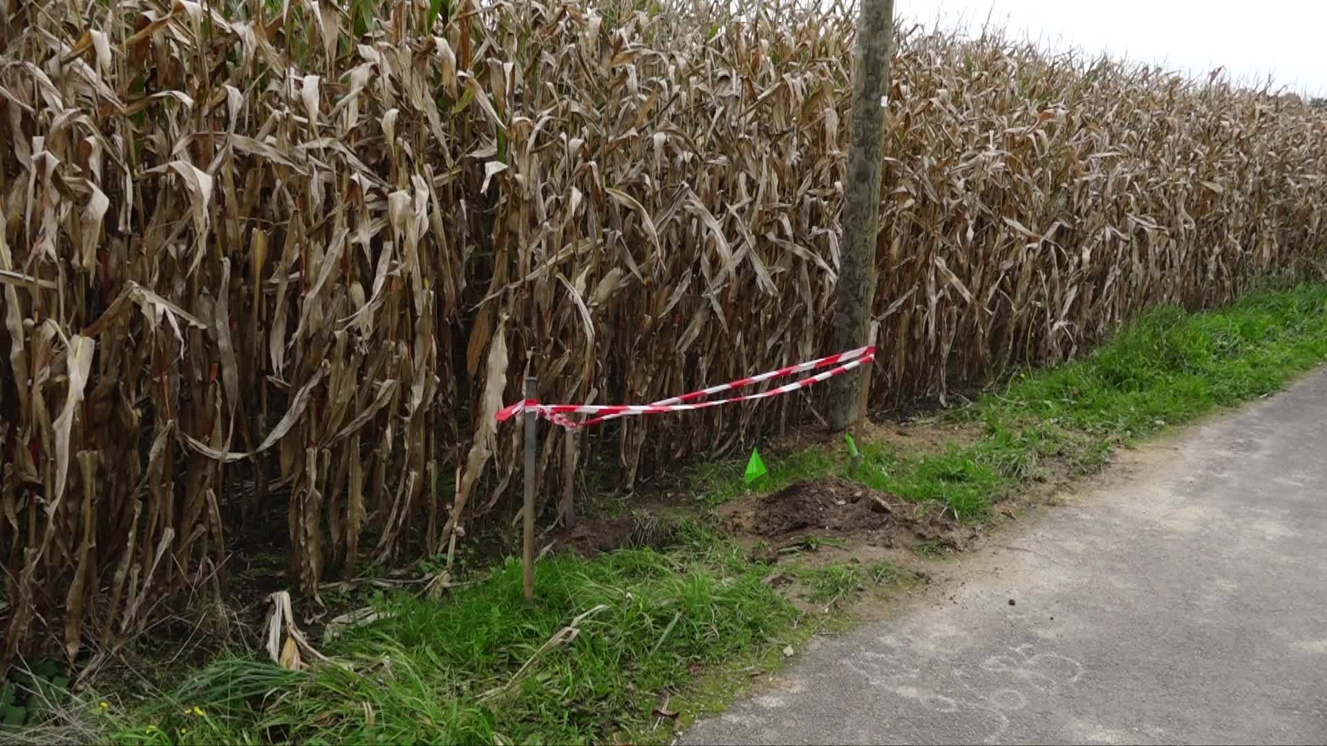 « À la prochaine tempête, ce sera par terre ! » : avec le déploiement de la fibre, les élus de Landudal se retrouvent au pied du poteau [En vidéo]