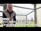 Tac au tac avec Marc Maurice, éleveur de pigeons texans