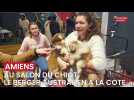 Premiers achats au salon du chiot d'Amiens