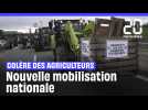 Colère des agriculteurs : Premiers jours d'une nouvelle mobilisation nationale