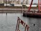 Dunkerque : au port, des sculptures ont été repêchées de l'eau pour un projet artistique porté par Sarah Feuillas.