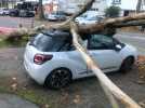 VIDÉO. Tempête, meilleure attraction au monde... Les 5 infos de la semaine en Pays de la Loire