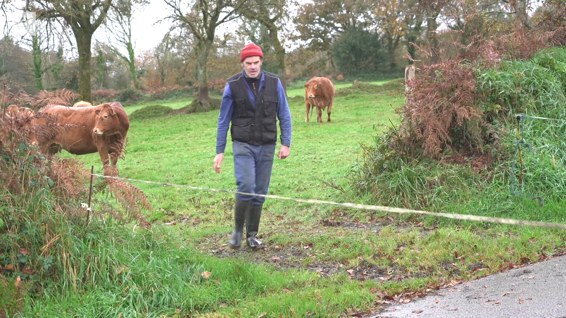 « Le Mercosur va affecter tous les producteurs », estime Julien Tallec, éleveur de bovins dans les Monts d'Arrée [vidéo]