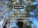 La ripisylve au service de l'environnement et de l'homme