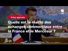 VIDEO. Crise agricole : quelle est la réalité des échanges commerciaux entre la France et le Mercosur ?