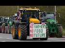 Des milliers d'agriculteurs britanniques protestent contre la hausse des droits de succession