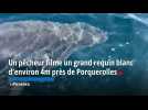 Un pêcheur filme un grand requin blanc d'environ 4m près de Porquerolles