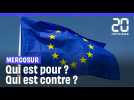 Mercosur : Quels sont les pays pour et les pays contre ce traité de libre échange ?