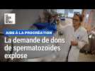 Dons de spermatozoïdes : la demande explose