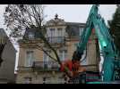 VIDÉO. « Ça me touche beaucoup » : au Mans, les arbres de l'avenue Bollée tombent peu à peu