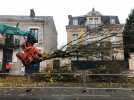 VIDÉO. Comment sont abattus les arbres de l'avenue Bollée au Mans