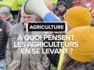 À quoi pensent les agriculteurs lorsqu'ils se lèvent ?