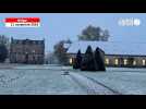 VIDÉO. Le haras de Saint-Lô s'est réveillé sous un léger manteau neigeux