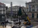 Montpellier : le sapin de Noël en cours d'installation sur la place de la Comédie