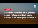 VIDEO. Cop29 : l'Arabie saoudite et le groupe arabe refuseront tout texte ciblant « les énergies fossiles 