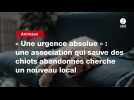 VIDEO. « Une urgence absolue 