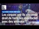 Les cirques ont-ils encore le droit de faire des spectacles avec des animaux ?