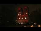 Notre-Dame de Paris illuminée en rouge pour alerter sur les persécutions des chrétiens