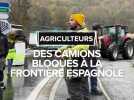 Une dizaine d'agriculteurs de la CR31 bloquent les camions en provenance d'Espagne