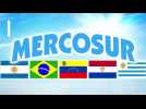 Pourquoi l'accord de libre-échange entre l'UE et le Mercosur n'est pas encore applicable ?