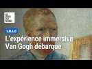 L'expérience immersive Van Gogh débarque à Lille