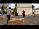 VILLEDÔMER / Un concours de cheval... à deux pattes