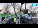 VIDEO. A Saint-Nazaire on déplante des arbres... pour mieux les remplanter