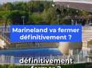 Marineland va bientôt fermer définitivement ?