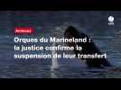 VIDEO. Orques du Marineland : la justice confirme la suspension de leur transfert