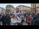 Défense de la fonction publique : on manifeste à Mulhouse