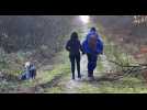 VIDÉO. La forêt de Cerisy, réserve naturelle ouverte aux promeneurs et à l'exploitation forestière