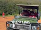 Quand le RCT s'aventure dans la savane sud-africaine