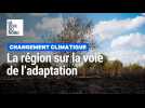 Changement climatique : les Hauts-de-France sur la voie de l'adaptation