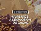 Chocolateries : faire face à la flambée du prix du cacao à l'approche de Noël