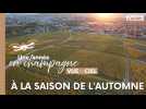 La champagne à travers les saisons : le vignoble en automne