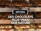 Des chocolats plus vrais que nature