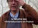 Biodiversité - Grâce à lui, les castors sont revenus en Loire : l'histoire épique des réintroductions de Jean-Pierre Jollivet, il y a 50 ans