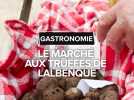 Le célébre marché de la truffe à Lalbenque