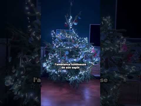 Le sapin qui rendra votre salon unique  #shorts #noel