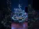 Le sapin qui rendra votre salon unique  #shorts #noel
