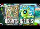 Ce deck COMBO CELEBI MAJASPIC est DINGUE Pokemon TCG Pocket