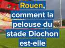 Près de Rouen, comment la pelouse du stade Diochon est-elle entretenue ?