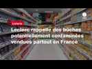 VIDEO. Listeria. Leclerc rappelle des bûches potentiellement contaminées vendues partout en France